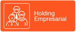 holding-empresarial holding-empresarial