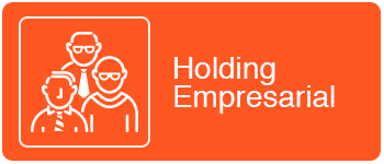 holding-empresarial holding-empresarial