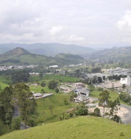 Zona Franca Andina (2)